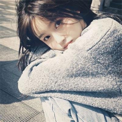 圣痕炼金士第二季